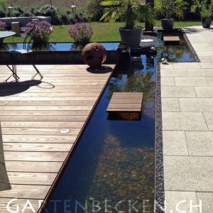 Gartenbecken 011